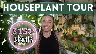 HOUSEPLANT TOUR 2024 | My entire 315+ indoor plant collection (rare and common!)