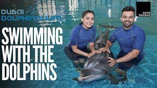 Swim With The Dolphins | @dubaidolphinarium | Life In The UAE | Social Kandura