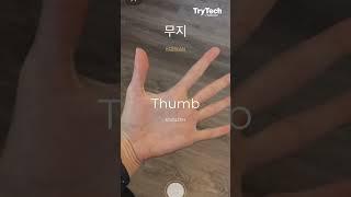 Thing Translator by Dan Motzenbecker | TryTech | TechCrunch
