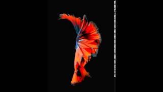 Animated Wallpaper n.9 from iPhone 6s and iOS 9 | iSpazio.net Exclusive