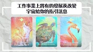 塔羅工作事業近期的發展&改變｜現在的你需要的宇宙指引訊息（塔羅牌、自創神諭卡、神諭卡）｜觀看不限時Timeless