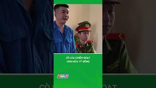 Cò lúa chiếm đoạt hơn nửa tỷ đồng #shorts