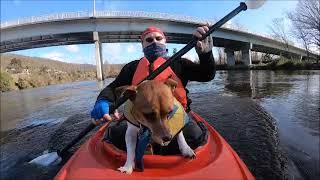 Kayaking Derwent River Trip 688 REEL 17 /7 /2023