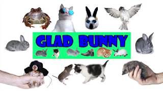 АНОНС МОЕГО НОВОГО КАНАЛА ХОРОШЕГО НАСТРОЕНИЯ GLAD BUNNY