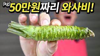일본 1위 와사비는 맛이 다를까? 국산 와사비와 비교해보니..