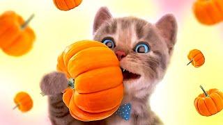 CUTE LITTLE KITTEN ADVENTURE - FUNNY KITTY & FRIENDS ADVENTUROUS JOURNEY CARTOON VIDEO FOR KIDS!