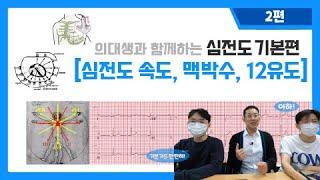 의대생과 함께하는 심전도 기본편 I 2. 심전도 속도, 맥박수, 12유도 파헤치기