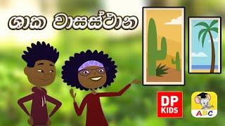 ශාක වාසස්ථාන | Professor Hester Plant Habitats