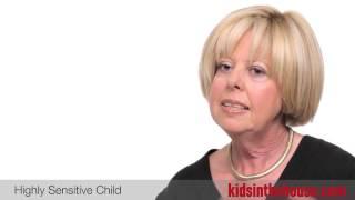 Parenting a Highly Sensitive Child - Fay Levinson, PhD