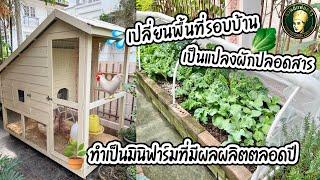 เปลี่ยนพื้นที่รอบบ้านเป็นแปลงผักปลอดสาร | ทำเป็นมินิฟาร์มที่มีผลผลิตตลอดปี | สวนผักพ่อครัว