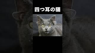 【ゆっくり解説】突然変異した生き物についてこっそり教えます