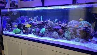 June 2024 Innovative Marine EXT 200 Replacement Tank update