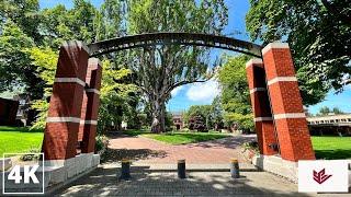 Seattle Pacific University Campus Tour | 4K Seattle Walking Tour