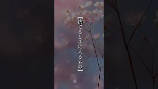 【捨てると手に入るもの】 #shorts #名言 #言霊 #引き寄せ #人生
