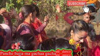 Gaule panche bajja  dance