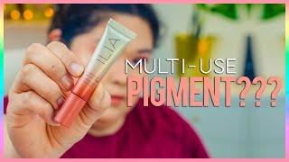 ILIA BEAUTY COLOR HAZE MULTI-USE PIGMENT REVIEW!! || JUST CHAB