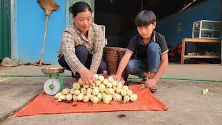 Single mother and son harvest corn to sell for a living - Hoa Thi Thom