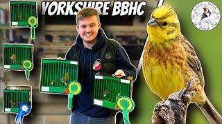 Yorkshire British Bird & Hybrid Club Show 2023