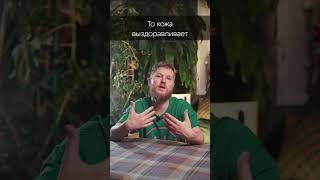 Псориаз легко и быстро пройдёт