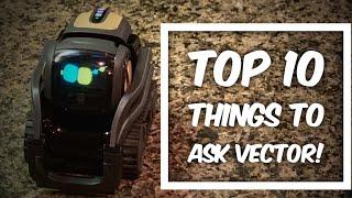 Top 10 things to ask Vector!