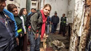 The Monkey Trafficking Crisis
