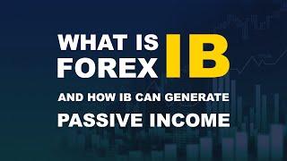 What is an IB in Forex Market?