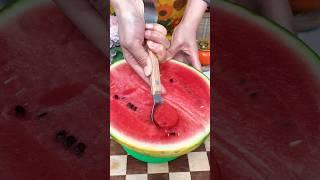 Next-Level Watermelon Cutter ️ Must-See Kitchen Hack #WatermelonTool #KitchenGadget #SatisfyingCut