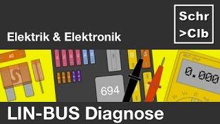 LIN Bus Diagnose am Fahrzeug