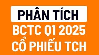 Phân tích BCTC cổ phiếu TCH Q1 2025 - Lúc nào nên mua ?