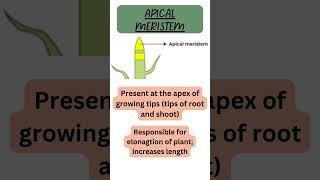 What are Meristem Tissues? #meristem #biology