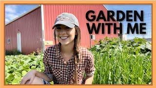 August Vegetable Garden Tour: Growing and Cooking Food In Wyoming