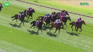 JUST A TRIBUTE(AUS) - 2024 Thomas Lyons Stakes (LR) Listed Hobart 11 February