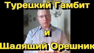 Глобальная Геополитика: Турецкий гамбит и щадящий Орешник