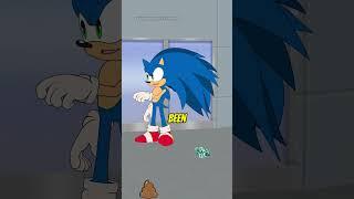 SONIC WITH LONG HAIR