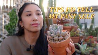 I wish I knew this when starting with succulents...