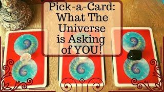 Pick-a-Card: What the Universe is Asking of YOU!