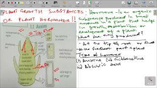 PLANTS RESPONSE TO THE ENVIRONMENT GRADE 12 LIFE SCIENCES.