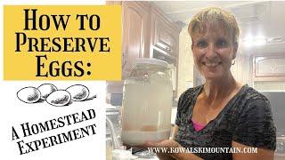 How to Preserve Eggs: A Homestead Experiment