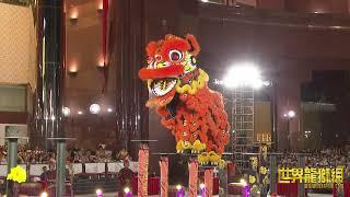 南仙龙狮体育会 Nam Sieng Dragon & Lion Dance Activity Centre