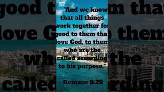 Romans 8:28