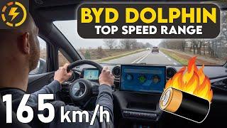 BYD Dolphin Top Speed Range Test | Battery getting too warm...