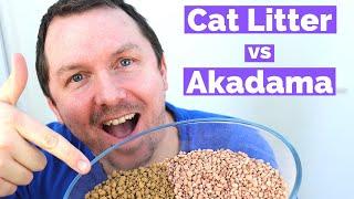 Bonsai Soil: Cat Litter Vs Akadama