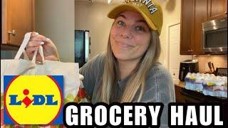 LIDL GROCERY HAUL