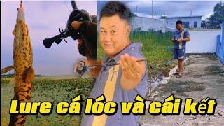 Lure cá lóc và cái kết - L.T FISHING OFFICIAL