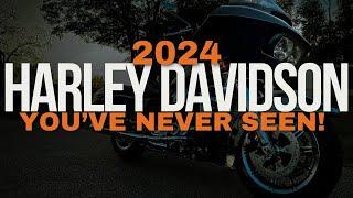 The 2024 Harley Davidson NO ONE Knew Existed!