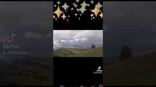 Горный край Алтай️