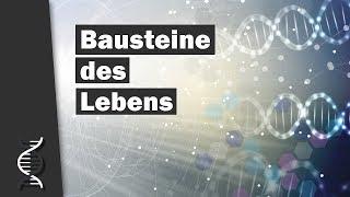 Faszinierendes über die Bausteine des Lebens: Schöpfungsindizien | Dr. Boris Schmidtgall