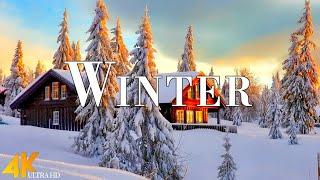 Winter 4K Ultra HD • Stunning Footage Snow Winter, Scenic Relaxation Film with Calming Music.