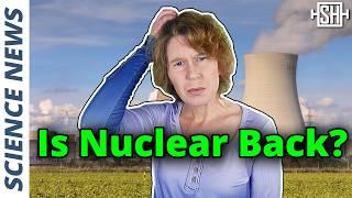 Nuclear Renaissance? Or Just Wishful Thinking?