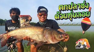 ทุ่นลอย ตกปลาซ่ง บ่อดิน 100 ไร่! Bighead carp